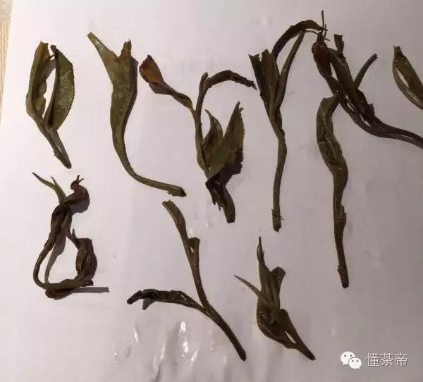 普洱茶分甜茶和苦茶，你知道吗？