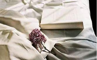 「潍·悦读」爱，是一种遇见