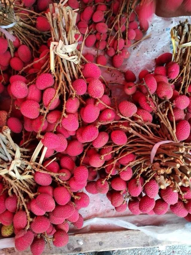 夏来吃荔枝，好味别多吃