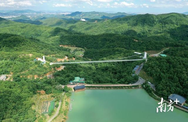 “揭”开序章 ，紫气“东”来｜一切“揭”好