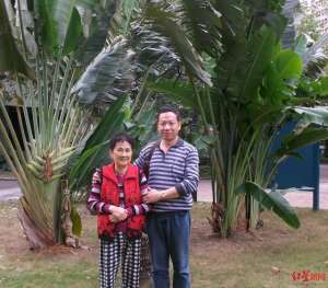 刘澍(红星专栏｜刘澍追忆金迪：一个简单直接的透明人)