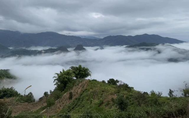 ​新闻8点见丨对话哀牢山遇难队员妻子：刘宇没有打算在山上过夜