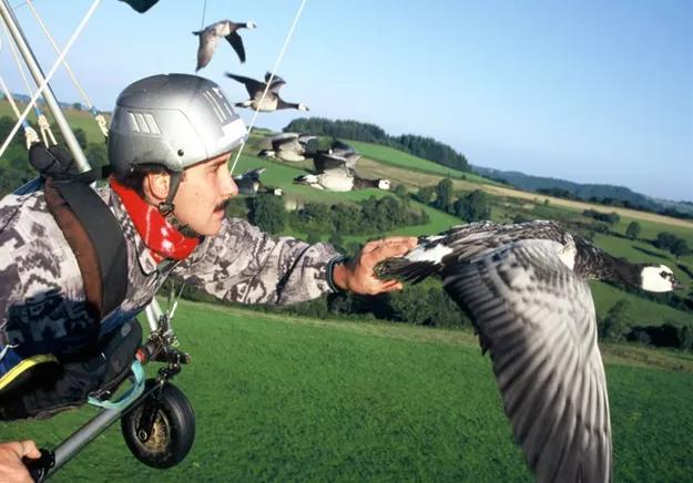 直击心灵的环保电影——《给我翅膀》