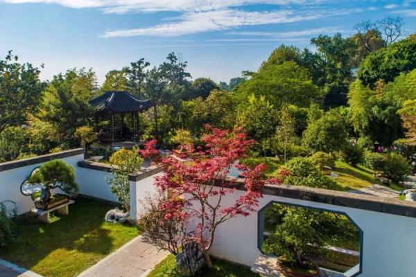 一到秋天，南京就美成了金陵！赏秋大幕已经拉开