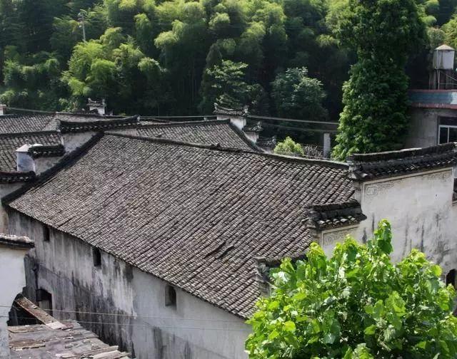 网络作家写党史丨沈 荣：壮志凌云救国难 浴火重生建武装