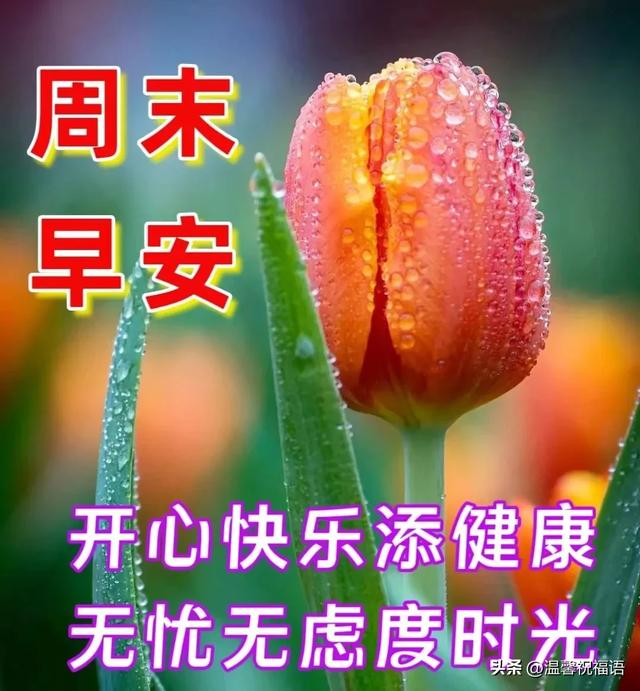 周日早安！群发温馨的早上好问候语创意图片带字，暖心的祝福大全