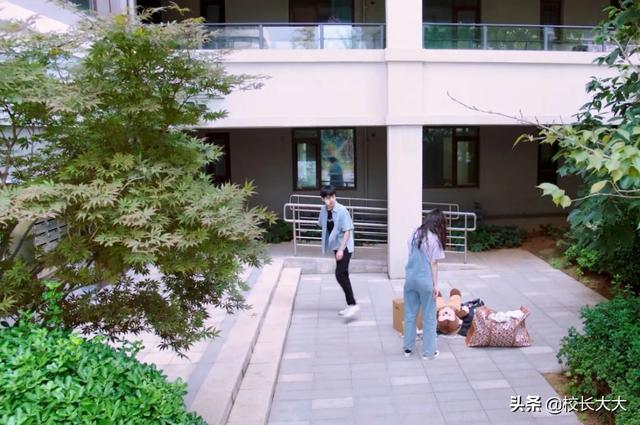 《追爱家族》：“猫之使徒卢迪”出场之后，齐天都变得顺眼多了