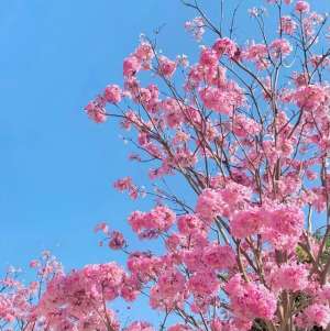 短剧剧本(分享一些优秀的短剧剧本，以供参考)