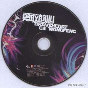 勇敢的心汪峰(汪峰《勇敢的心》音乐专辑，于2007年制作发行)