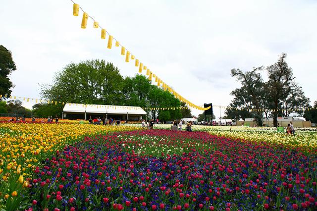 Floriade, 花都开好了