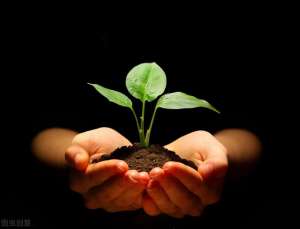 D君(当生命遭遇罕见疾病：“进行性肌营养不良症”患者D君的坚毅人生)