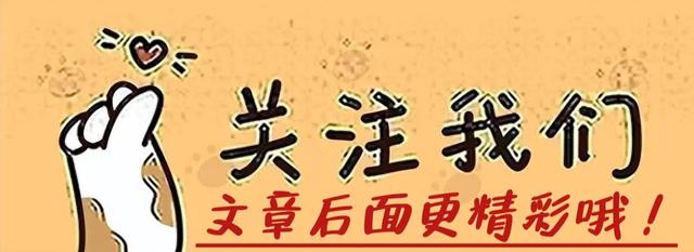 【惊爆】同居真人秀现场直播！与伴侣同住的24小时猛料曝光！