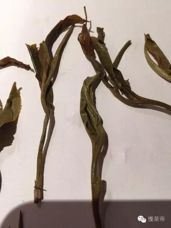 普洱茶分甜茶和苦茶，你知道吗？