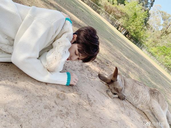 专访｜林彦俊：这一年过得很快，也很慢