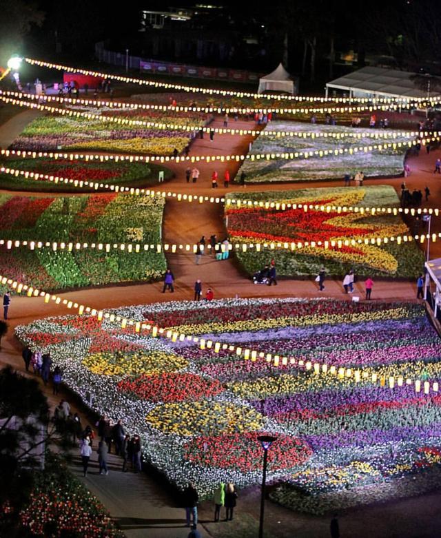 Floriade, 花都开好了