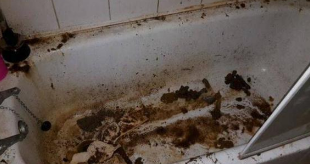 史上最肮脏的租客，房东打开门全是垃圾，浴缸还布满大便