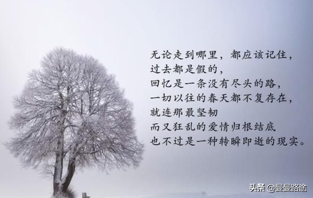 《百年孤独》两个阿玛兰妲两种不同的结局，一个克制，一个放纵