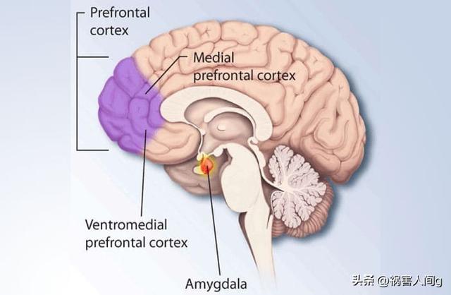 蝙蝠侠的冷门反派阿米戈德拉