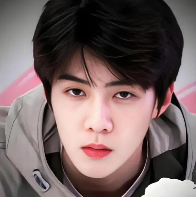 当张艺兴、吴世勋现身朴灿烈演唱会