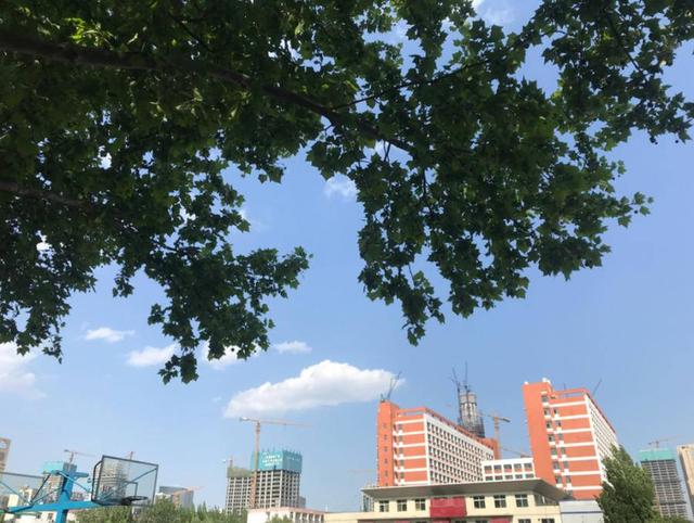 “我和我的家乡”摄影大赛|山东政法学院杨静怡:共迎家乡之变