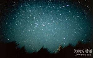 世界25大悬谜：沙滩现数十亿不明生物