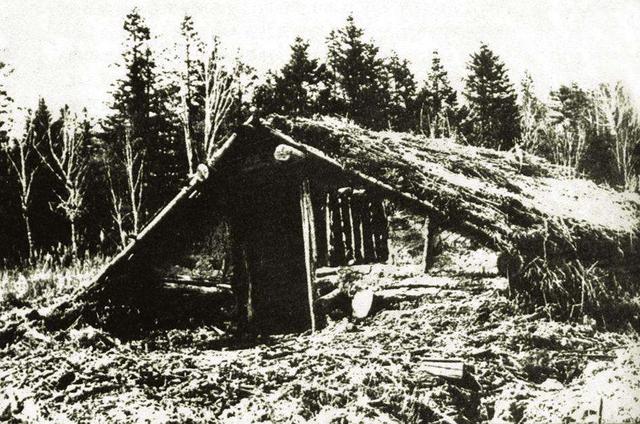 1951年春，一名解放军举报另一名解放军：他谋害了杨靖宇