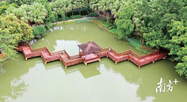 “揭”开序章 ，紫气“东”来｜一切“揭”好