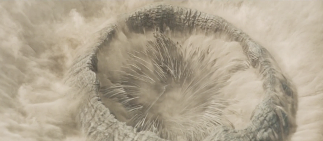 末日、黄沙、荒原，《沙丘》中的拍摄地原来在这里