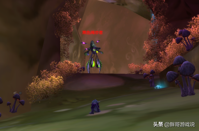 魔兽TBC:幽暗沼泽直接尾王新方法,小德傍身技,卖CD一天上千金