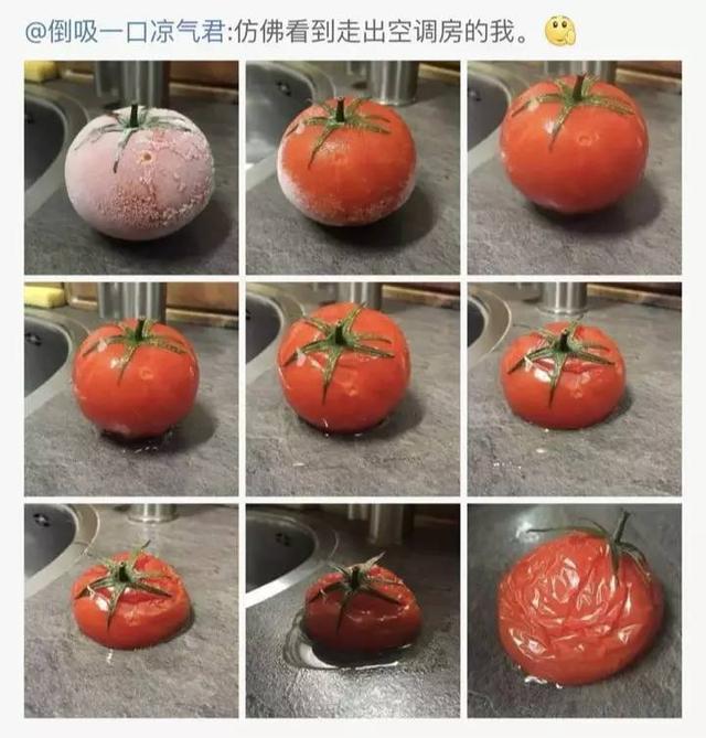 70后大叔沉迷B站无法自拔,干脆辞职去做董事长