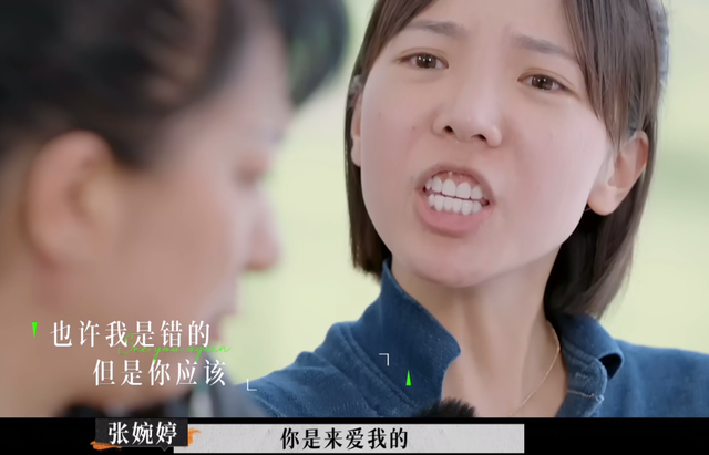 《再见爱人2》：宋宁峰犯了二婚男最致命的错误，难怪张婉婷会疯