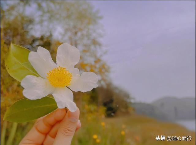 （夜听）爱就爱，不爱就离开