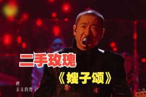 二手玫瑰图片(二手玫瑰正经了，还是二手玫瑰吗？)