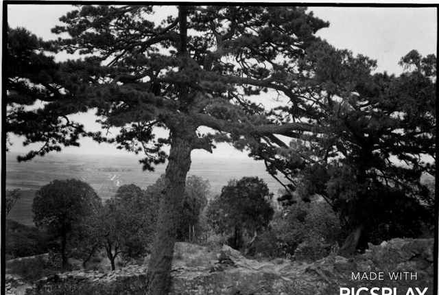 【晚清风情录】老照片中的花楼女子丰乳肥臀，30张尽显绝代风姿