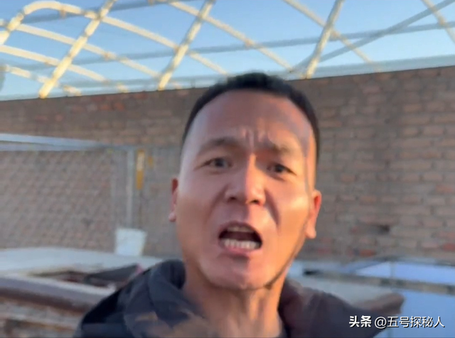 后续！潘宏网红狗艾特洗澡死亡：直播回放流出，拼命挣扎被无视