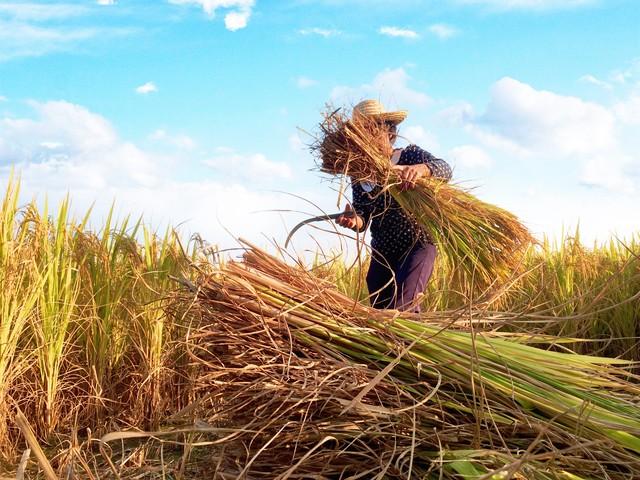 “发不发，就看十月十八”，明日十月十八啥日子？有何讲究说法？