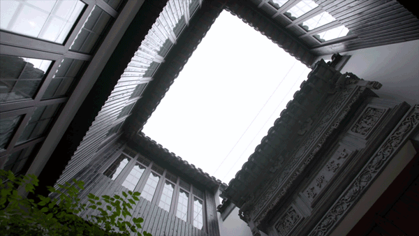 苏州教授一个人住200m²，每天琴棋书画，网友：也太会宅了