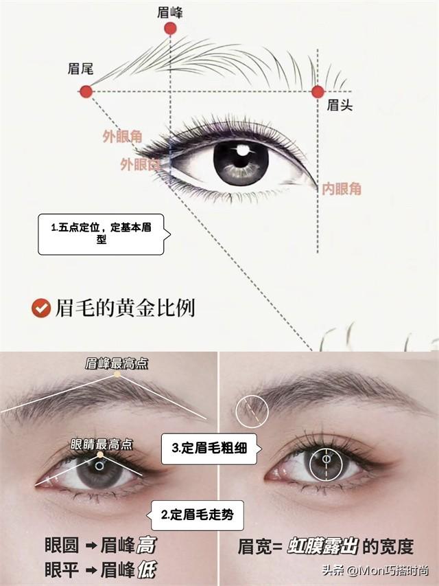 别再画一字眉了,太土!顶级名媛都换上了“富贵眉”,优雅又高级