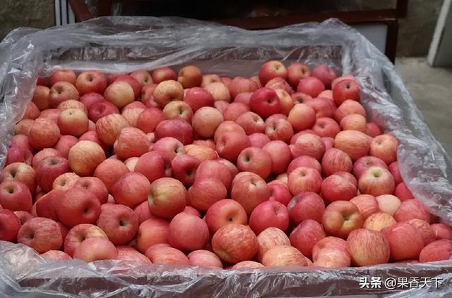 打药！黑心！太酸太难吃！苹果到底得罪了谁？