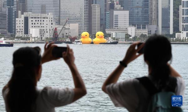 阔别十年 “大黄鸭”再度到港