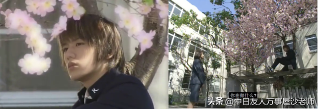 魔女的条件，禁忌的纯爱