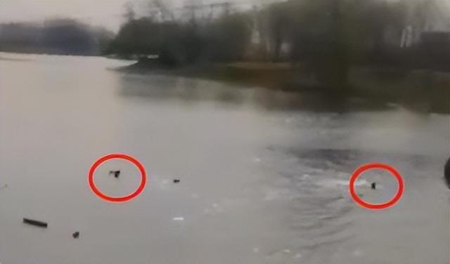 22年河南小伙跳河救人，体力耗尽留遗言，被救女子不放手让一起走