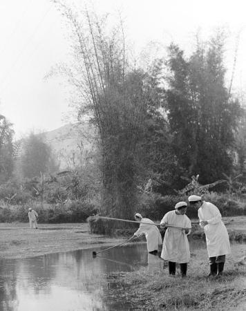 世界防治疟疾日丨中国向疟疾说“不”