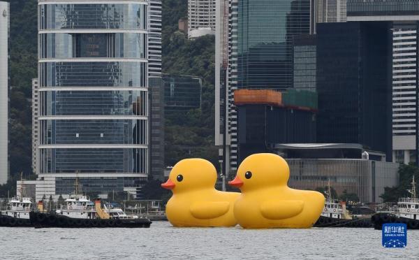 阔别十年 “大黄鸭”再度到港