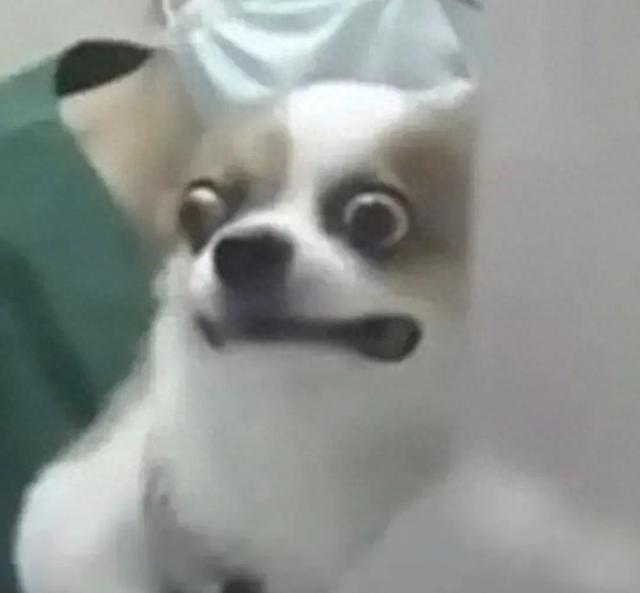 女毒贩多次“卡点怀孕”,在镇江被判刑!