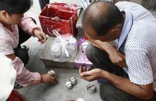 “一嘴可能就2万”,说说这种古今身价不菲的“秋虫”丨斗蛐蛐极简史