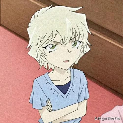 《名侦探柯南》中的20大美女排名不分先后。