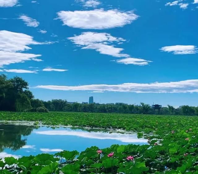 “冷涡蓝”美霸北京天空!午后分散雷雨至,或现太阳雨