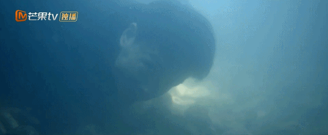 破8亿播放量!秦昊这8集警匪神剧,再来100集都不嫌多