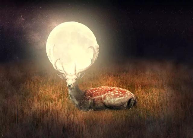 看见月亮想起初恋，一轮清辉寄托几多爱与缠绵